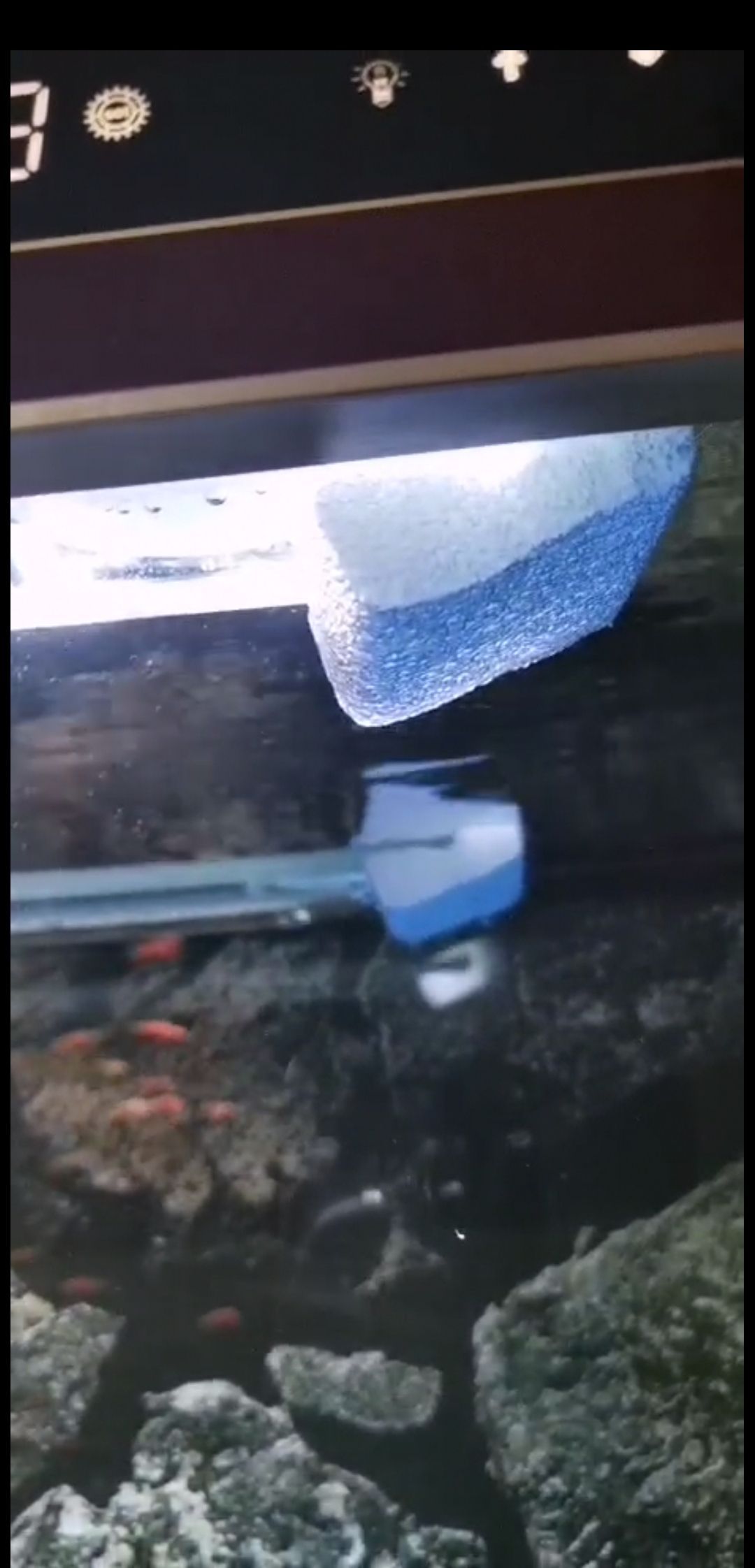 生態(tài)魚缸百科知識(shí)（生態(tài)魚缸效果圖）