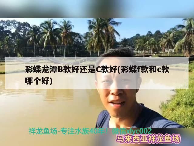魚缸里倒咖啡好不好呀(魚缸里倒咖啡好不好呀視頻) 魚缸里倒咖啡好不好呀(魚缸里倒咖啡好不好呀視頻) 龍魚百科 第3張