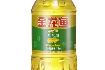 金龍魚用什么顏色背景，金龍魚背景顏色搭配技巧