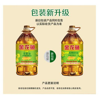 金龍魚用什么顏色背景，金龍魚背景顏色搭配技巧