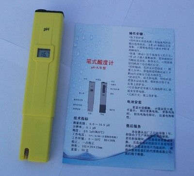 海里的紅龍魚能吃嗎：家庭飼養的紅龍魚是否適合作為食物食用？