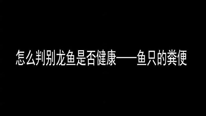 雪龍魚健康狀態(tài)鑒別方法（雪龍魚混養(yǎng)注意事項(xiàng)雪龍魚混養(yǎng)注意事項(xiàng)）