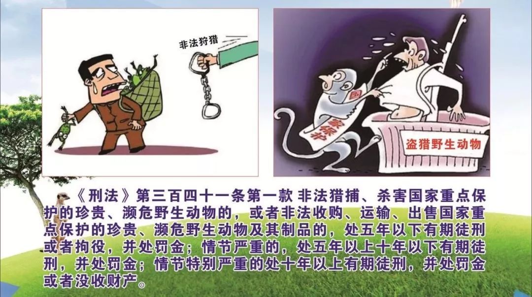 買賣龍魚被抓怎么辦，買賣龍魚被抓怎么辦？