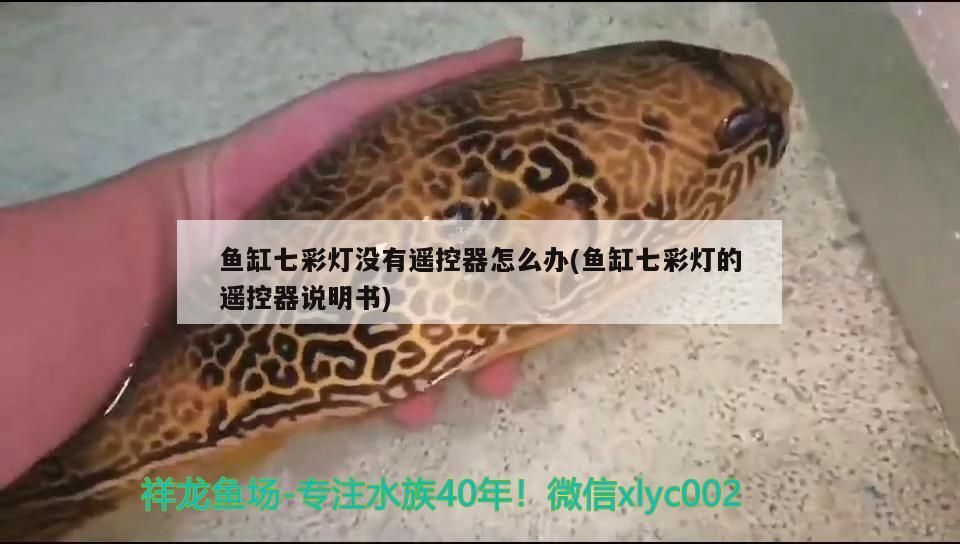 四川觀賞魚協會官網網站首頁（四川觀賞魚協會官網網站首頁查詢） 四川觀賞魚協會官網網站首頁（四川觀賞魚協會官網網站首頁查詢） 龍魚百科 第3張