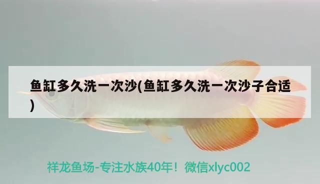 自粘魚缸教程（自己粘魚缸教程視頻）
