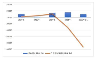 金龍魚歷年財報分析，金龍魚2018年財報分析