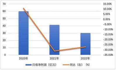 金龍魚歷年財報分析，金龍魚2018年財報分析