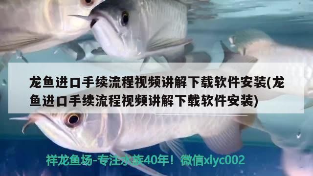 魚缸氧泵什么牌子好又實(shí)惠(魚缸氧泵什么牌子好又實(shí)惠的)