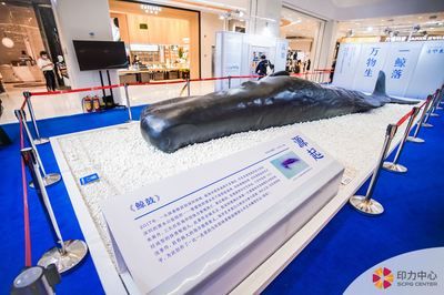 魚缸能放陽光下嗎為什么(魚缸能放在陽光充足的地方嗎)