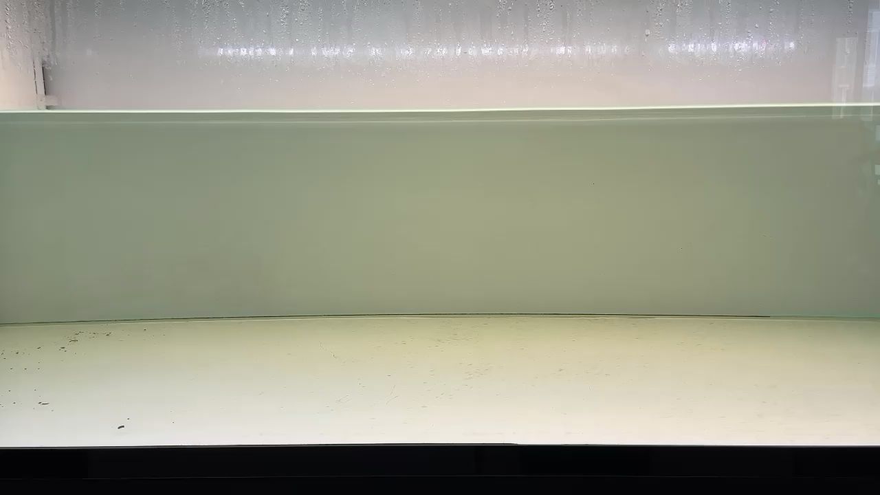 牡丹江水族批發市場在哪里（牡丹江水族批發市場在哪里啊）