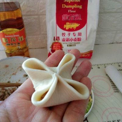 金龍魚餃子食譜大全，金龍魚餃子食譜大全，