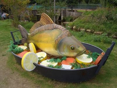 龍魚家養幾條合適，家里養龍魚的最佳數量應該是單數，具體數量應該是單數