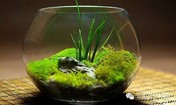魚缸自動(dòng)喂食器怎么安裝的（魚缸自動(dòng)喂食器制作過程圖）