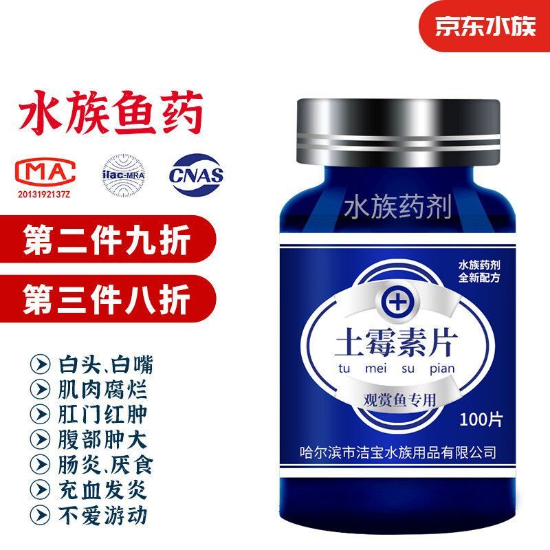 龍魚(yú)爛尾怎么辦，如何處理龍魚(yú)爛尾