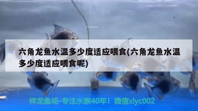 榆次二手魚缸交易市場地址電話多少（榆次觀賞魚批發市場）
