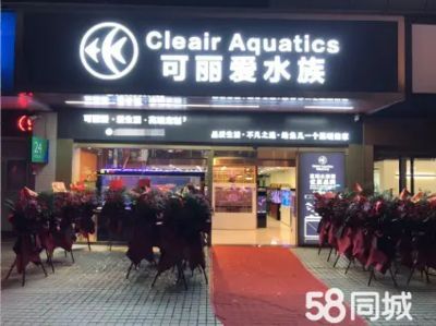 龍魚世家，廣州龍魚世家