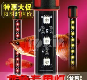 龍魚(yú)燈一直開(kāi)著對(duì)龍魚(yú)上色有幫助嗎，龍魚(yú)燈對(duì)龍魚(yú)上色有幫助嗎