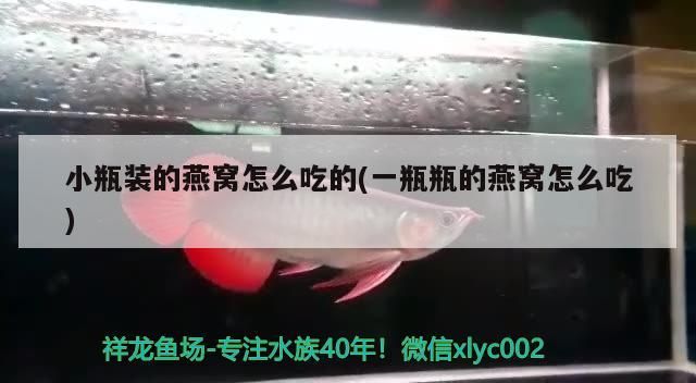 包頭修魚缸電話地址查詢電話（包頭修魚缸電話地址查詢電話是多少）