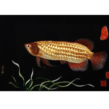 金龍魚國畫作品欣賞，金龍魚國畫作品欣賞，展現中國傳統水墨畫的獨特韻味