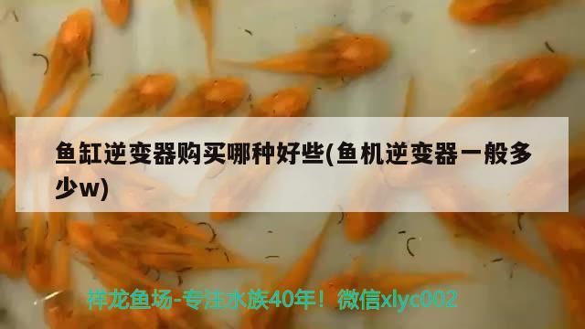南昌魚缸搬運電話號碼（南昌魚缸搬運電話號碼查詢）
