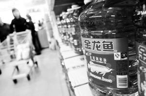 金龍魚合理價格，金龍魚價格對比