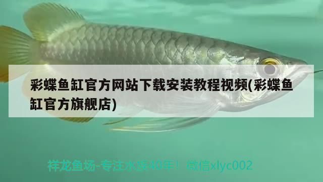 包頭水族批發市場地址電話號碼是多少(包頭水族批發市場地址電話號碼是多少啊)