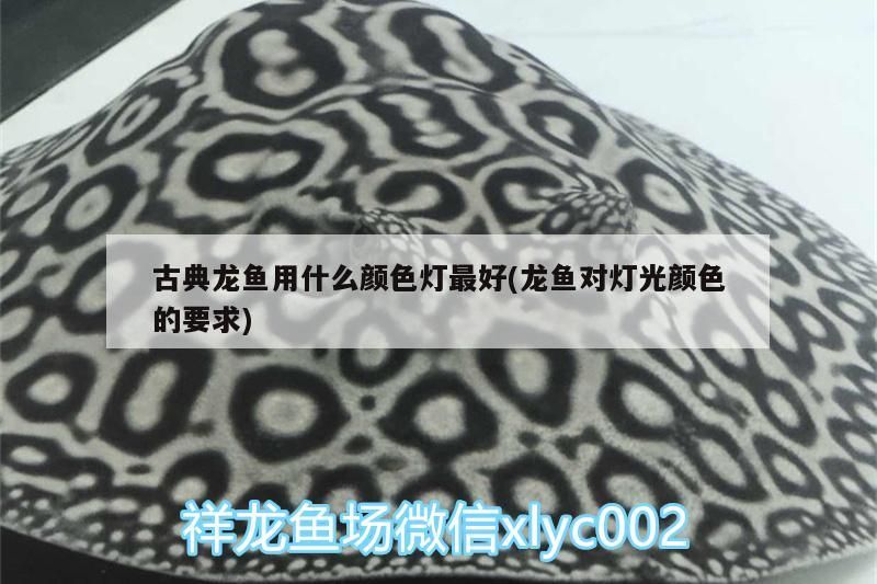 魚缸循環(huán)泵(魚缸循環(huán)泵正確使用方法)
