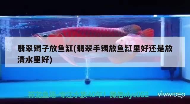 小魚缸放在客廳什么位置最好（小魚缸放在客廳什么位置最好圖片）