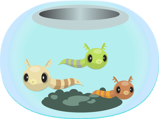 龍魚吃錦鯉好還是草魚好養殖：龍魚和錦鯉各有其特點和優勢
