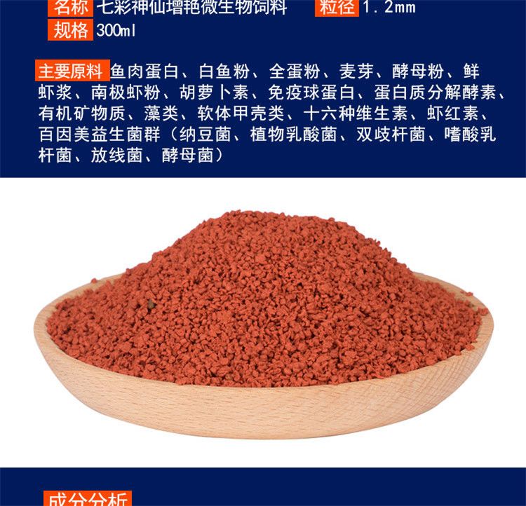 雷龍魚和虎皮混養可以嗎（雷龍魚可以和蝦虎魚一起養嗎）
