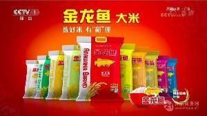 陜西金龍魚總廠在哪里啊，陜西金龍魚總廠是怎么回事