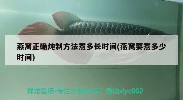 實木魚缸品牌(中式實木魚缸) 龍魚百科 第2張 實木魚缸品牌(中式實木魚缸) 實木魚缸品牌(中式實木魚缸) 龍魚百科 第2張