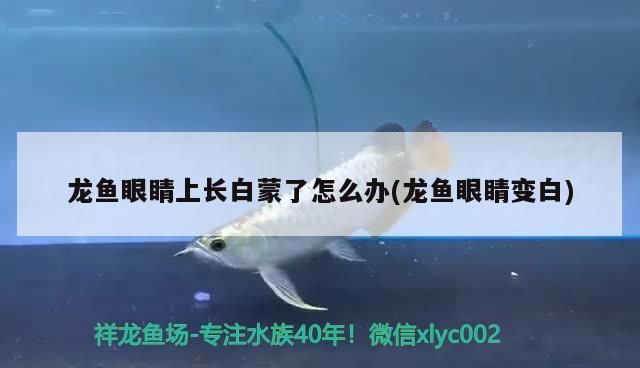 如何降低先天性交叉須手術的風險，先天性交叉須手術的風險確實存在