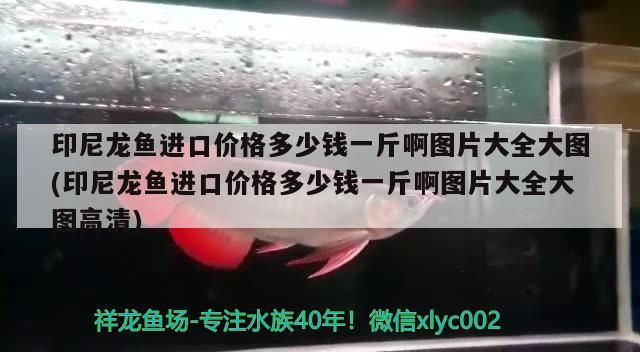 魚缸玻璃劃痕怎么處理怎么修復(fù) 魚缸玻璃劃痕有安全隱患嗎