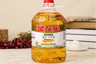 金龍魚加盟費多少錢，金龍魚加盟費因地區(qū)和店鋪規(guī)模不同而有所差異 金龍魚加盟費多少錢，金龍魚加盟費因地區(qū)和店鋪規(guī)模不同而有所差異 龍魚百科 第4張