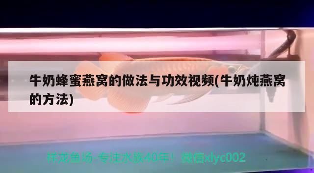 家養小魚缸多久換一次水合適（小魚缸多久換一次水?）