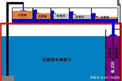 龍魚濾材擺放位置圖，龍魚濾材擺放位置圖是一份詳細的指導文檔