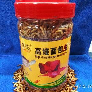 龍魚吃面包蟲干的好還是活的好，龍魚吃面包蟲干和活的好還是活的好，飼養者應該注意什么