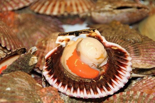 金龍魚(yú)木雕含義和寓意