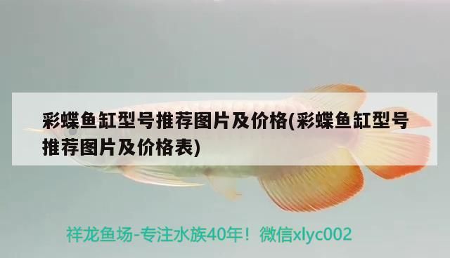 吉印插座怎么連接無線（吉印插排說明書）