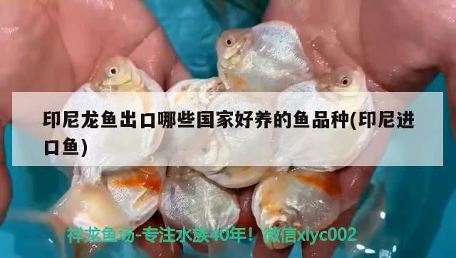 魚缸架怎么做防水處理（魚缸架子制作教程）