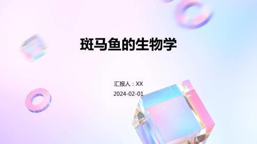 大型魚缸價格多少(大型魚缸價格多少錢)
