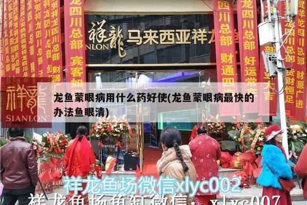 龍魚蒙眼病用什么藥好，龍魚蒙眼病的早期癥狀
