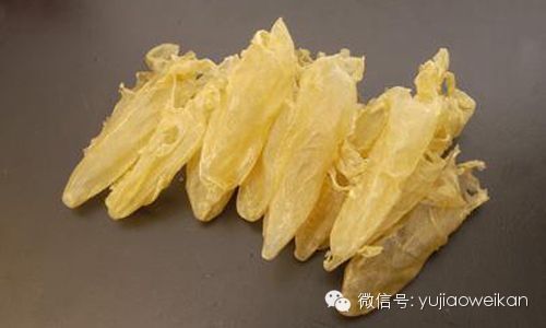 金龍魚膠泡發后容易爛怎么回事啊，如何正確泡發金龍魚膠