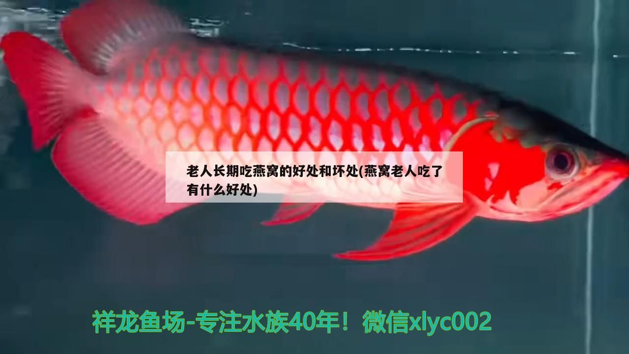 岳陽魚缸定制哪家好點(diǎn)（岳陽觀賞魚市場在哪）