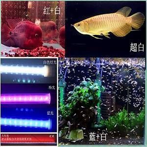 赤峰賣魚缸的地方在哪里 赤峰哪里可以做魚缸