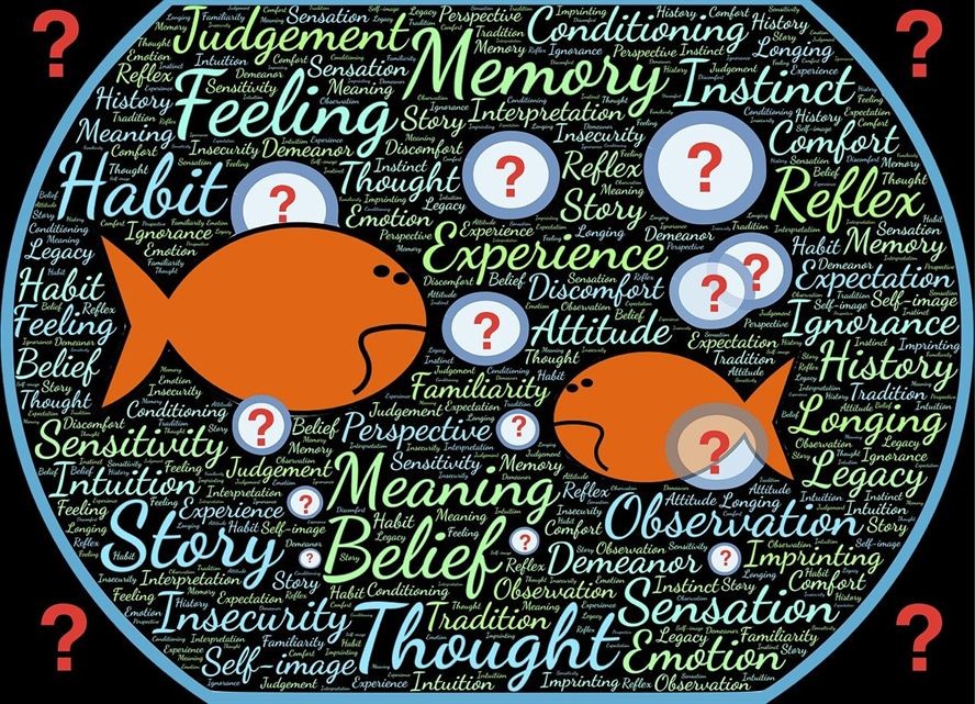 嘉峪關魚缸回收店電話多少錢 嘉峪關舊貨回收電話