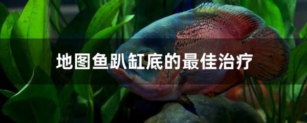 魚缸背景圖山水圖片大全(魚缸背景圖山水圖片大全集)