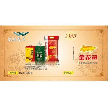 金龍魚一條大概多少錢人民幣，金龍魚價格因地區和規格而異，金龍魚品種鑒賞指南