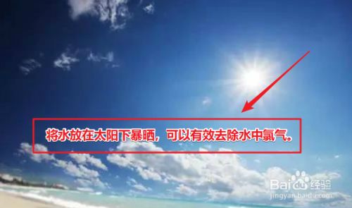 魚缸突然過濾不干凈（魚缸突然過濾不干凈怎么辦）